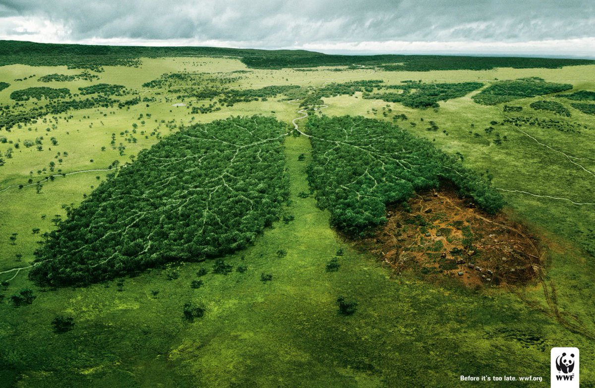Representation of the Amazonian forest in the shape of a lung.