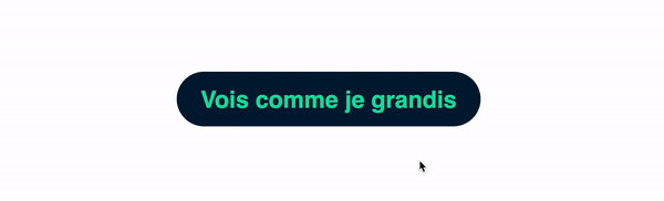 Une animation CSS d'un bouton qui grossit au passage de la souris
