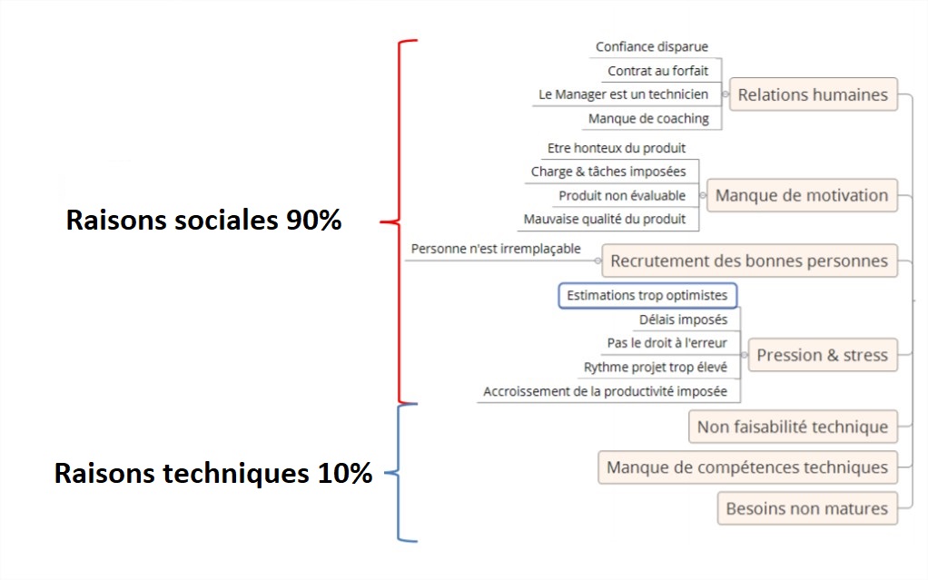 Synthèse des causes d'échec des projets