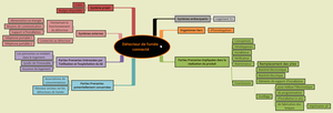 Carte mentale du détecteur de fumée connecté