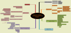 Carte mentale du système d'intérêt