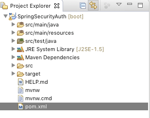 Project Explorer view