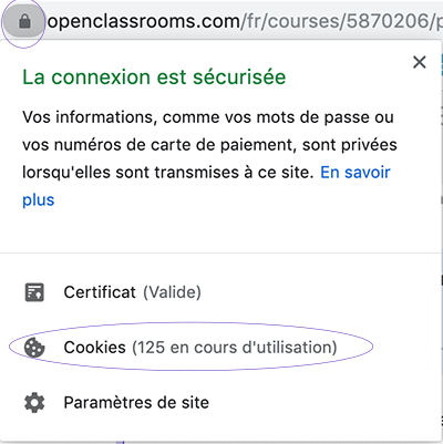 Menu d'accès pour paramétrer vos cookies sur Google Chrome