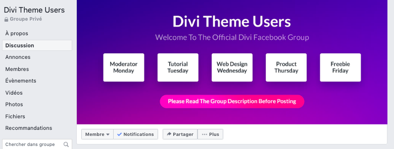 Capture d'écran groupe Facebook des utilisateurs de Divi Themes