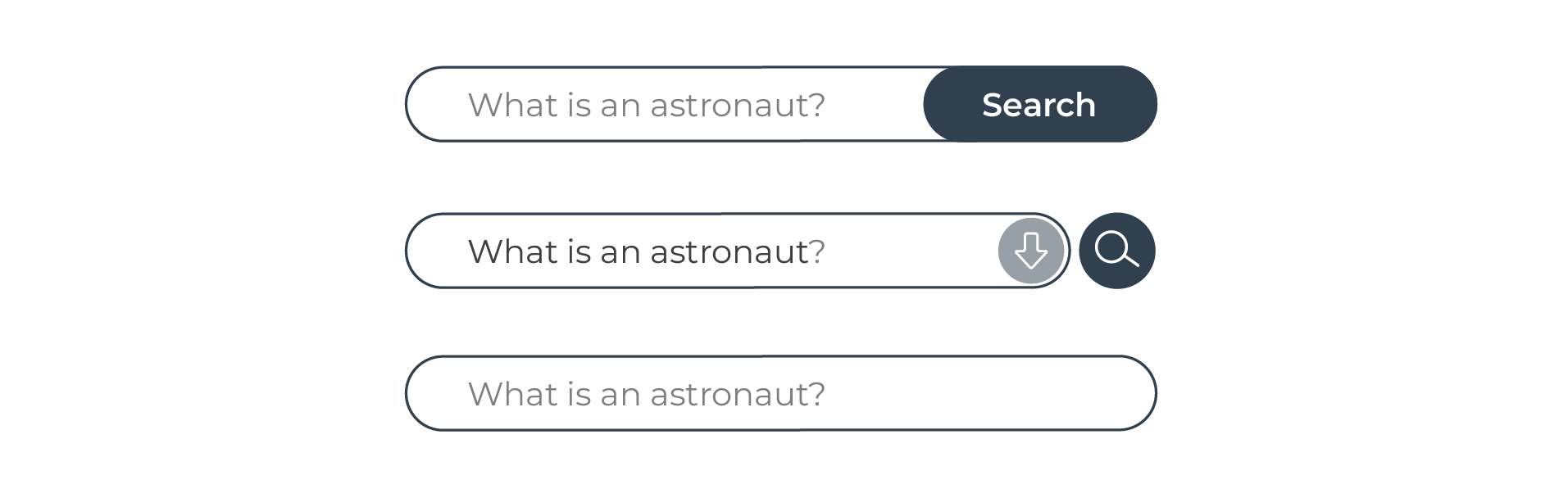 Three search bars. The first contains a text input and a search button that says Search. The second contains a drop down menu, a search text and a button with an icon. The third is just a text field.