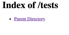 Le dossier tests est vide