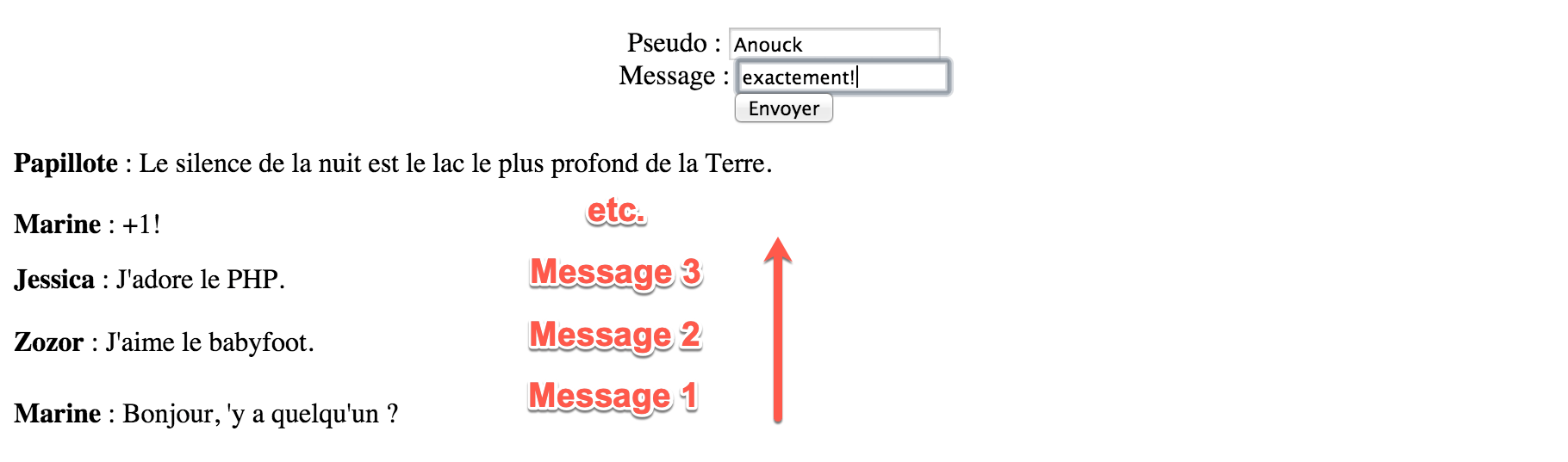 Aperçu du mini-chat une fois réalisé