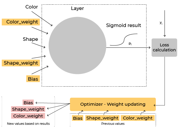 Diagram that builds of the previous one. This time, it includes the algorithm that tunes the weights of neurons in the network to ensure the output is correct. Color_weight, shape_weight, and bias are adjusted.