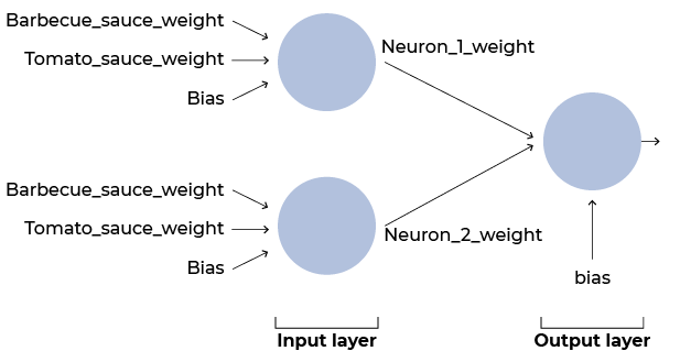 Diagram showing both layers (input and output), as well as the input information to each neuron (barbecue_sauce_weight, tomato_sauce_weight, and bias). The output layer's input is then the weights of both neurons and the bias.