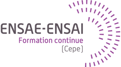 La  formation « Data Analyst » est réalisée en partenariat avec l’ENSAE. Cette école d'ingénieurs d'excellence est spécialisé en statistiques et en data science.