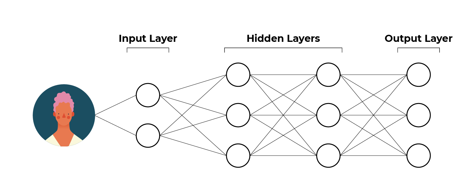 An image of Anne on the left. The image passes through the input layer, the hidden layers, and finally, the output layers.