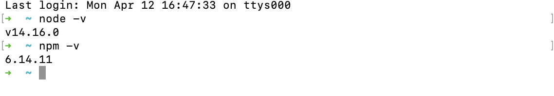 Capture d'écran du terminal de commande affichant les versions de Node et npm