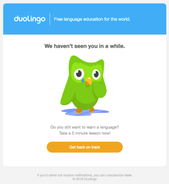 An email with a crying bird that motivates you to pick up where you left off