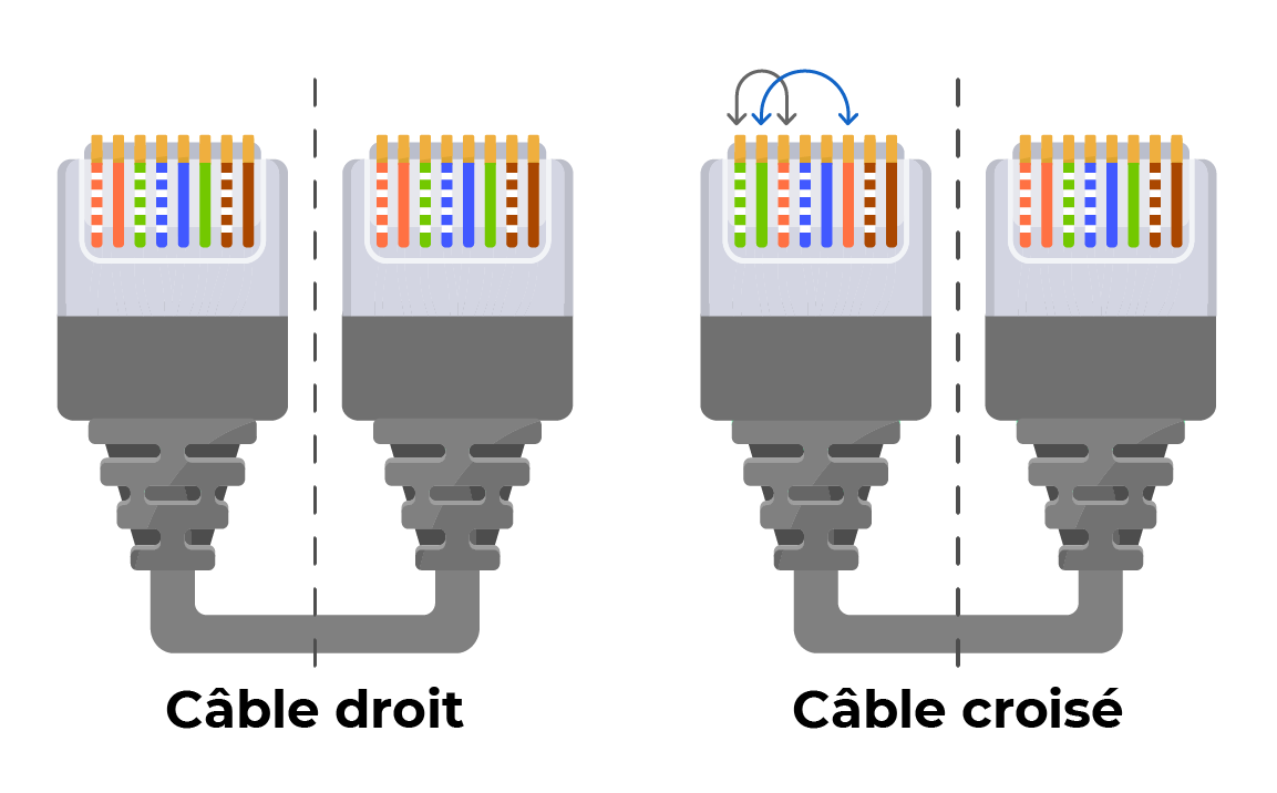 Distinguez câble droit et câble croisé