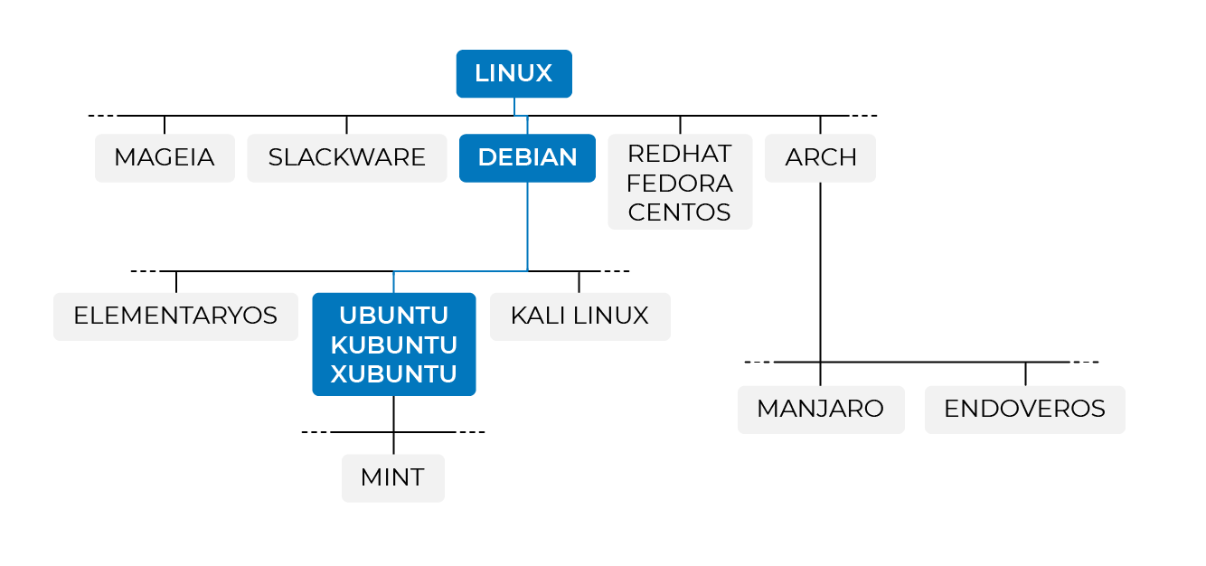 La lignée des distributions Linux. On peut voir qu'Ubuntu appartient à la famille des Debian.