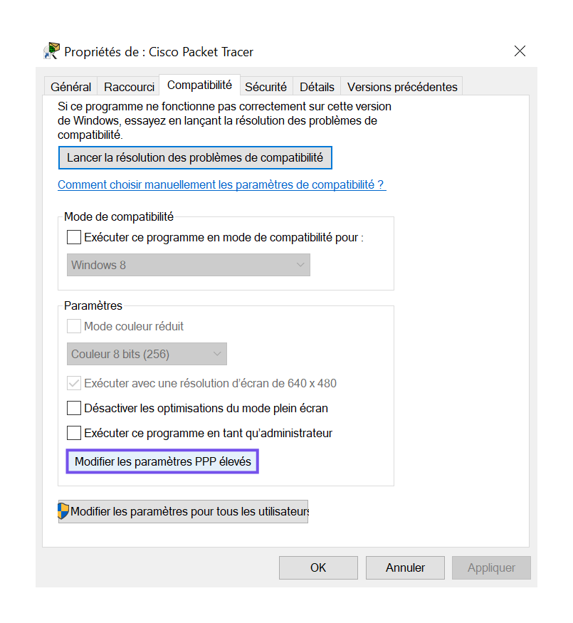Cliquez sur “Modifier les paramètres PPP élevés” dans les propriétés de lancement de Packet Tracer