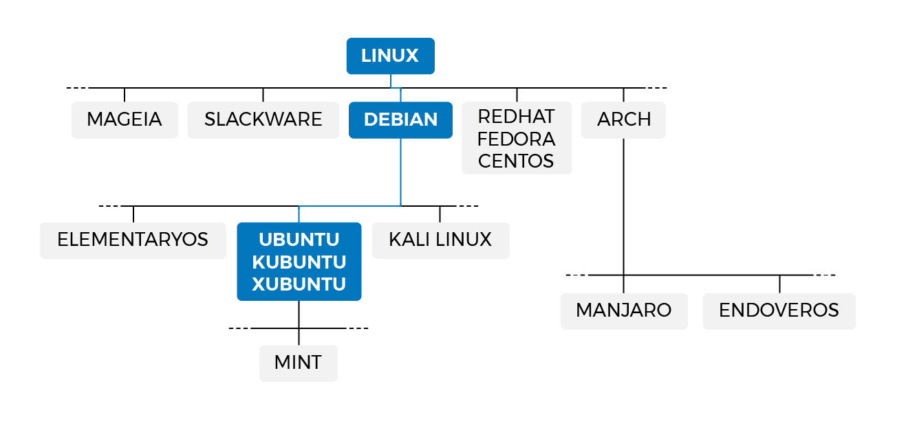 Family tree diagram illustrating that Ubuntu descends from Debian and Debian from Linux.