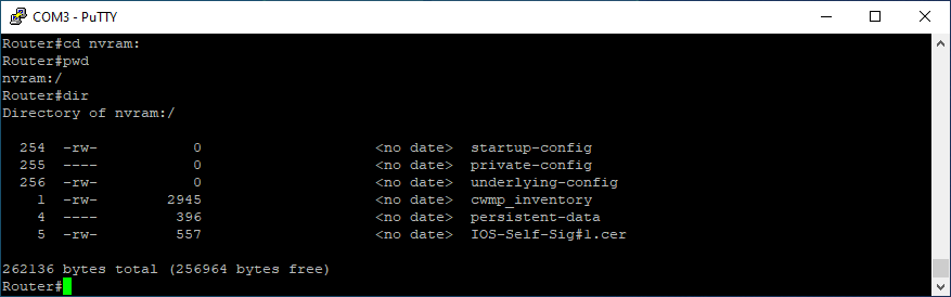 Screenshot d'un terminal de commande