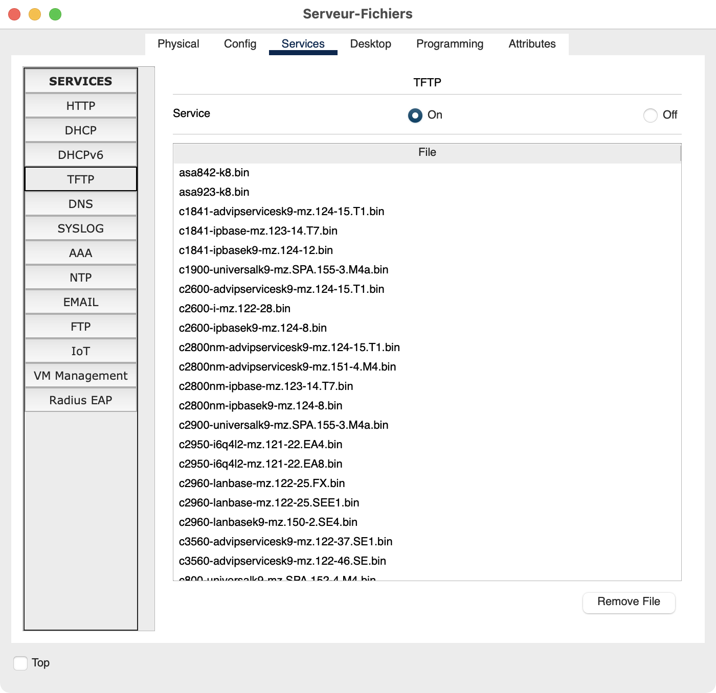 Screenshot de l'interface de configuration de Packet Tracer pour Serveur-Fichiers