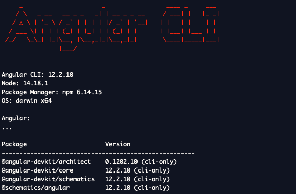 Le CLI d'Angular affiche une version 12.2.10 pour une version Node 14.18.1