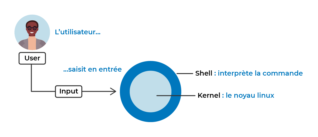 L'utilisateur peut passer des commandes à partir du shell, qui est la première couche logicielle autour du noyau Linux