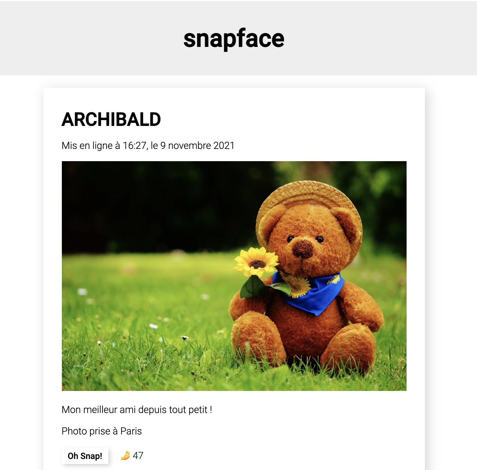 La nouvelle interface de Snapface