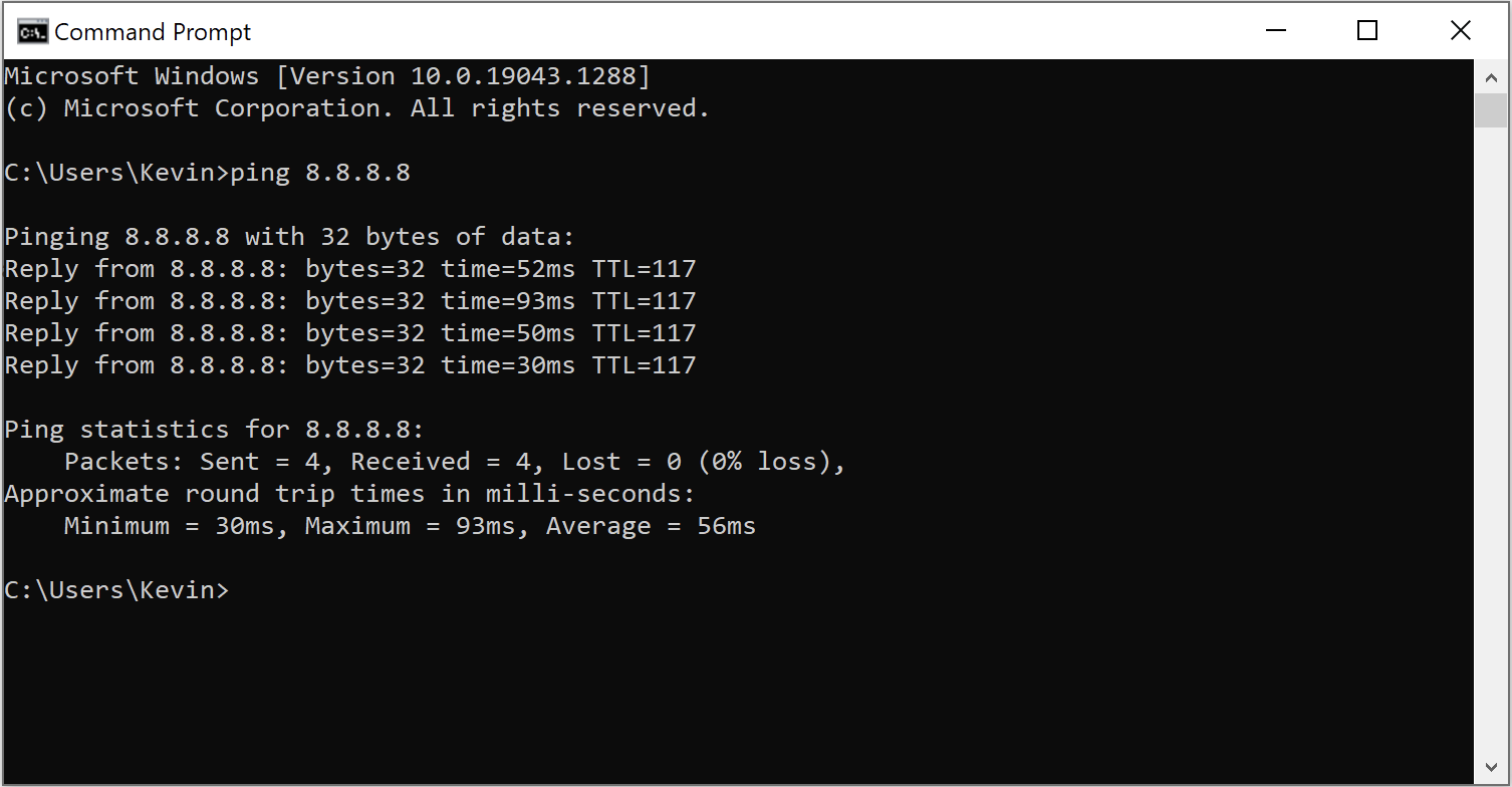 The result of your ping test to 8.8.8.8: screenshot of the command prompt displaying the test response.