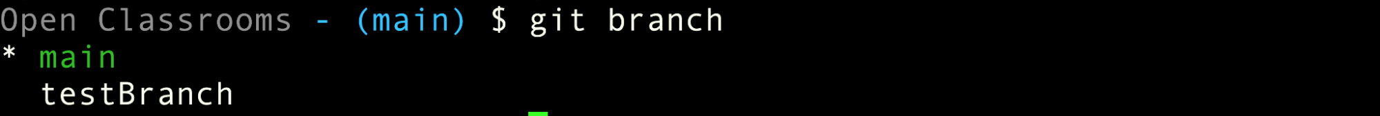 Git branch command