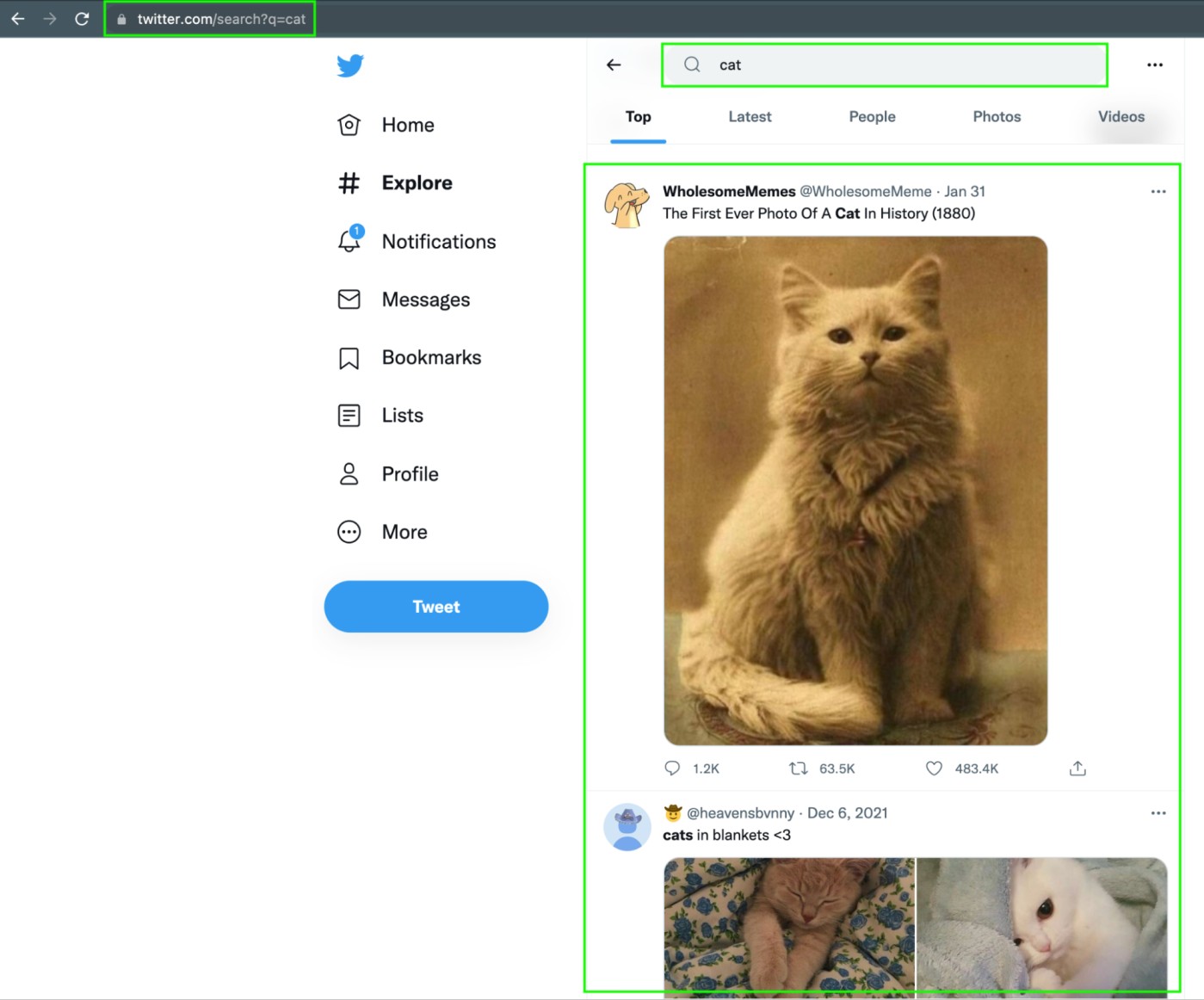 Twitter's search API: the URL, search functionality and page result are framed in green.