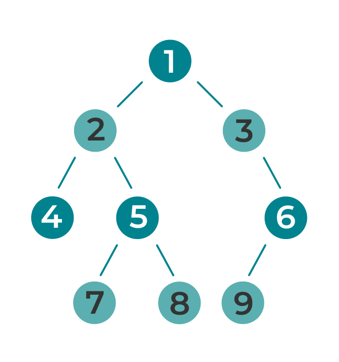 Arbre binaire numéroté avec deux branches à chaque intersection