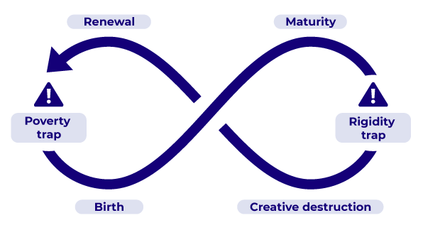 The decision ecocycle