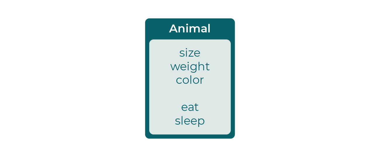 Animal contient size, weight, color, eat et sleep.