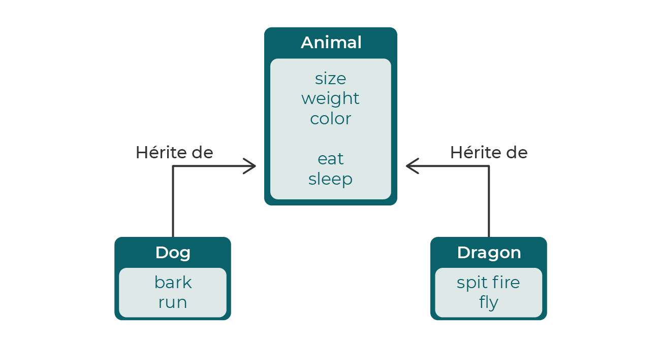 On supprime les propriétés et méthodes partagées entre Dog et Dragon, qui héritent maintenant de la classe Animal.