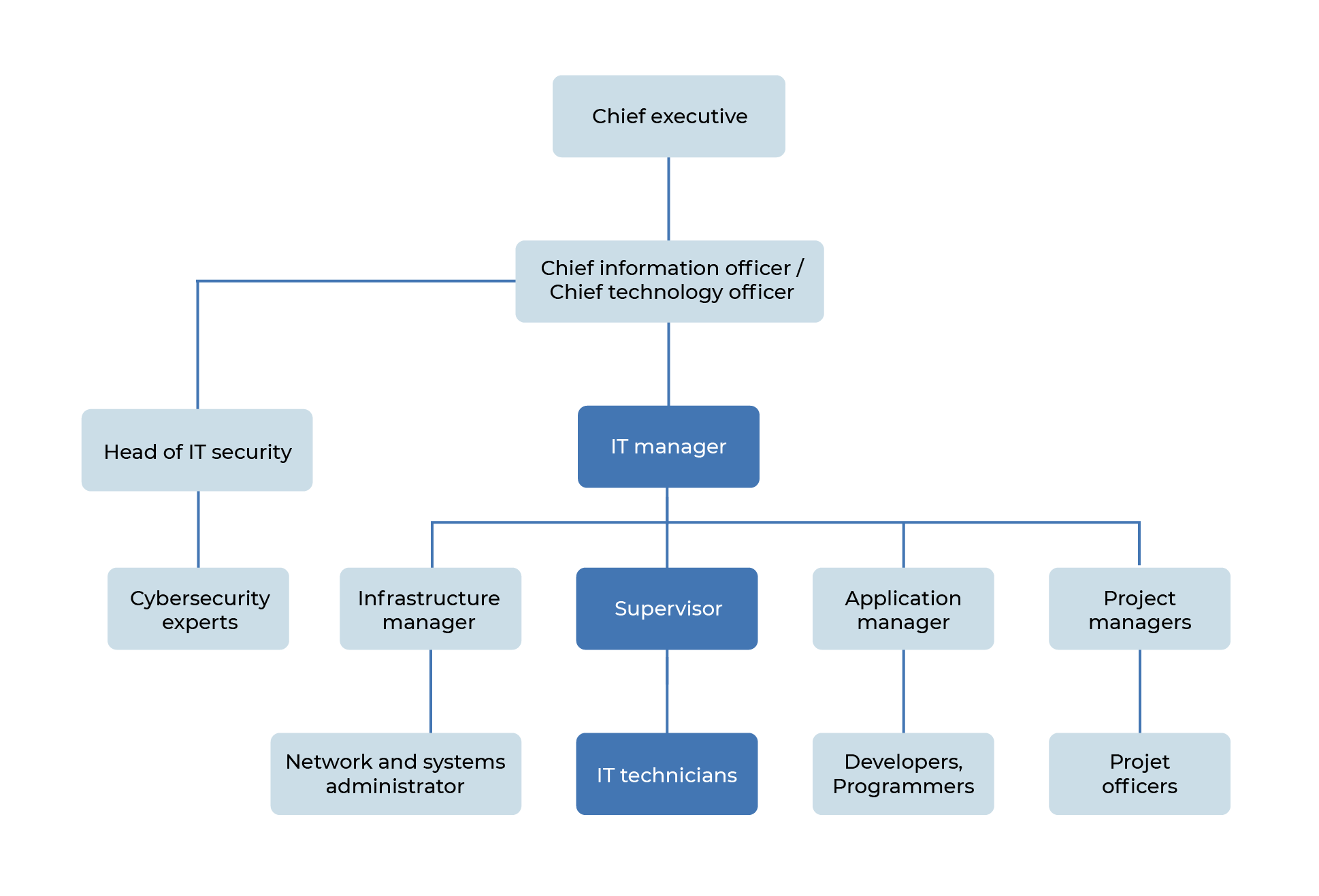 IT department structure