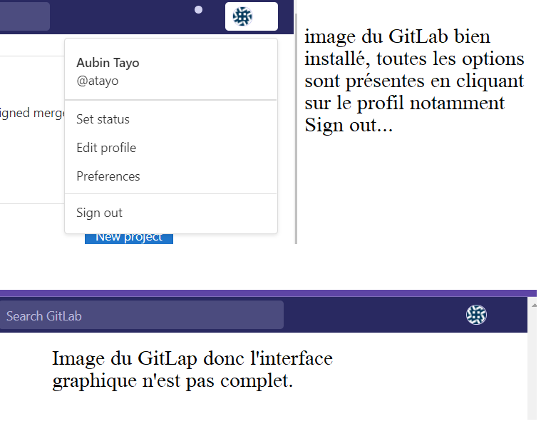 [Résolu] Installation de Gitlab - Interface GitLab vide par AubinTayo ...