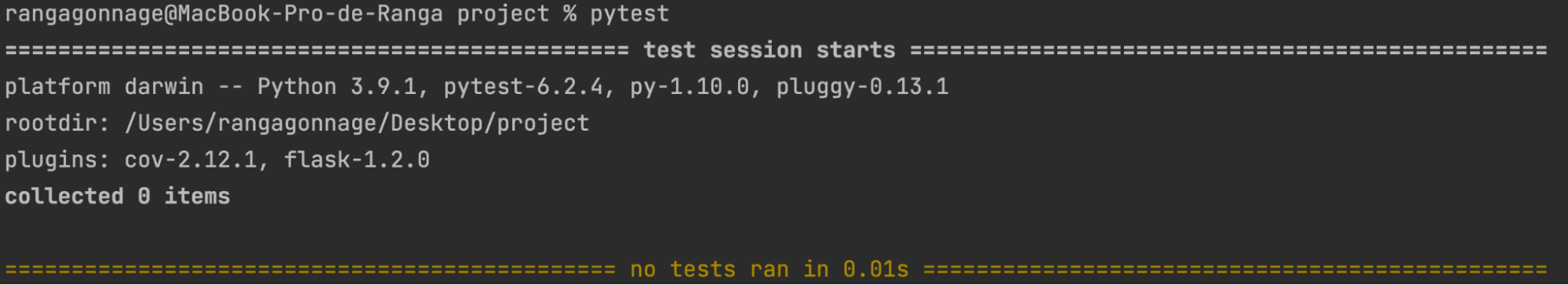 Type the pytest command in the terminal to check that it has been installed.