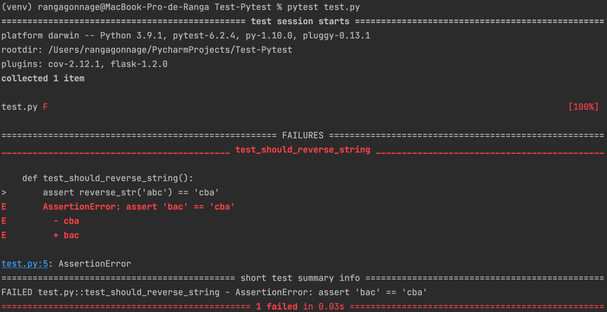 The test has failed and Pytest specifies the error in the terminal.