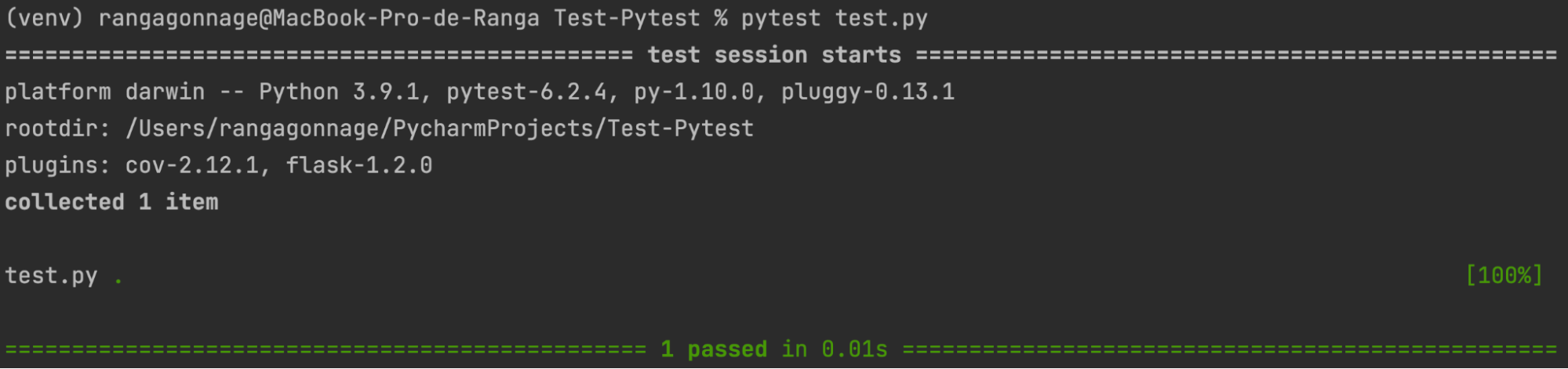 After correcting the error, the test is successful as specified by Pytest in the terminal.