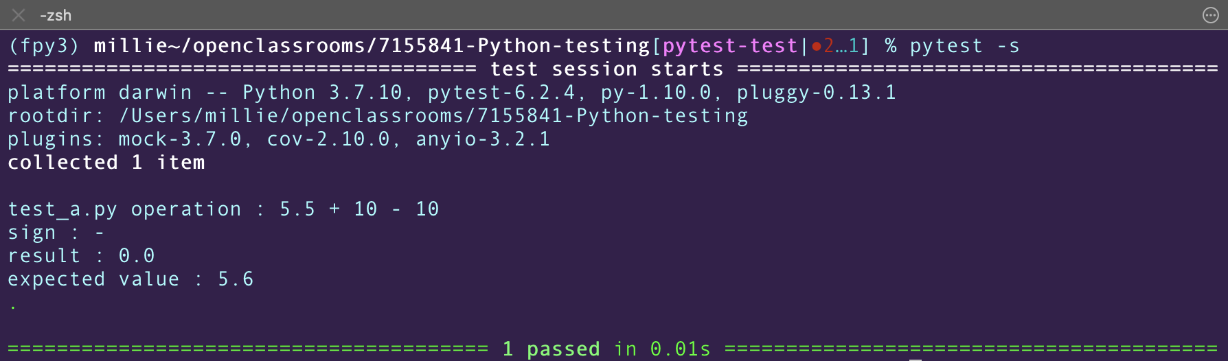 Use the pytest command with the -s option to see the print results.