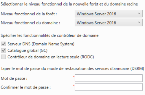De haut en bas - Niveau fonctionnel de la forêt: Windows Server 2016. Niveau fonctionnel du domaine: Window Server 2016. Fonctionnalités de contrôleur de domaine: premières deux cases cochées: Serveur DNS et Catalogue global (GC).