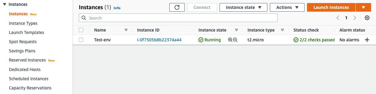 The EC2 server configured and launched by Elastic Beanstalk