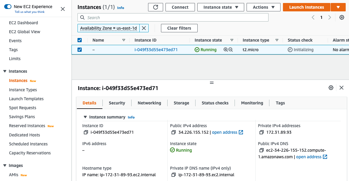 Finding the server address in the EC2 interface