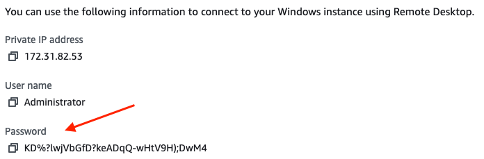 Windows instance password