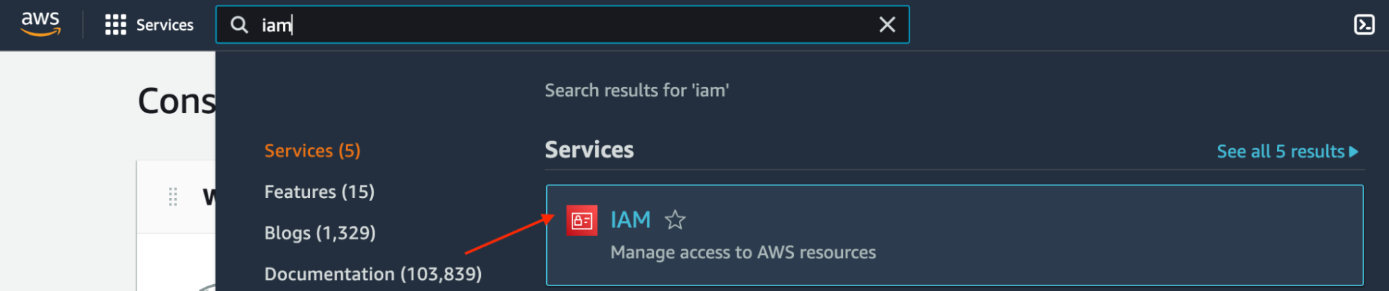 Searching for the IAM service