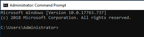 The command prompt at startup