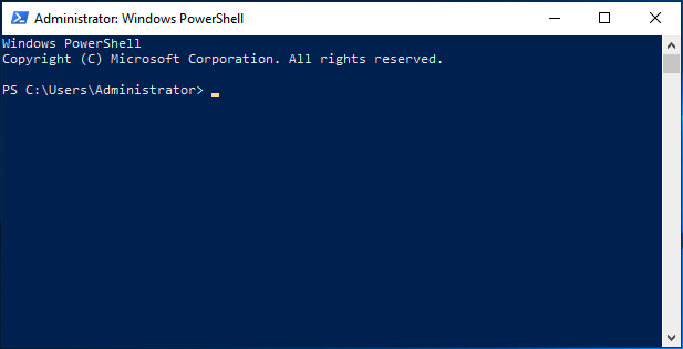 The Windows PowerShell console