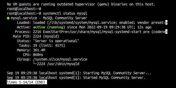 MySQL est bien lancé.