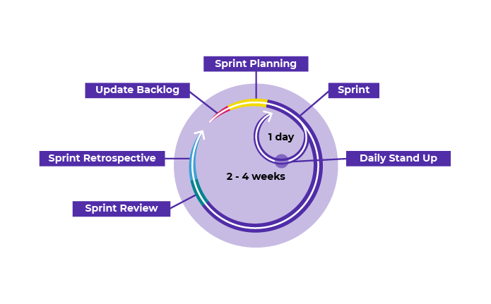 Scrum ceremonies over a 2-4 week cycle: update Backlog, then Sprint planning, then 1-day long Sprints with Daily Stand-Ups, followed by Sprint Review and then Sprint Retrospective