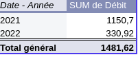 Capture d'écran d'une feuille de calcul remplie. Nous voyons deux colonnes : Date-Année et SUM de Débit