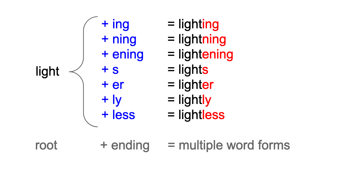 In this example, the root word light can take endings such as ing, ning, ening, s, to form multiple word-forms (lighting, lightning, lightening, lights)